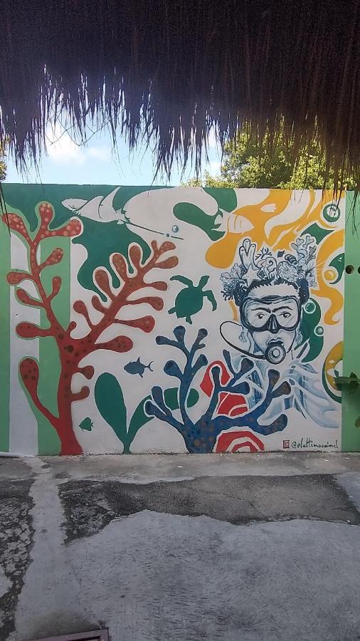 Blue Magic Hostel Cozumel Dış mekan fotoğraf