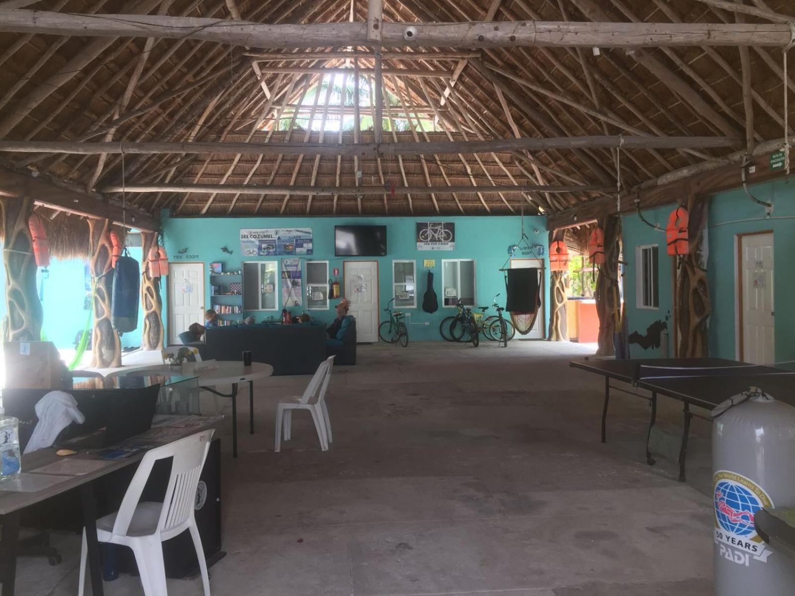 Blue Magic Hostel Cozumel Dış mekan fotoğraf