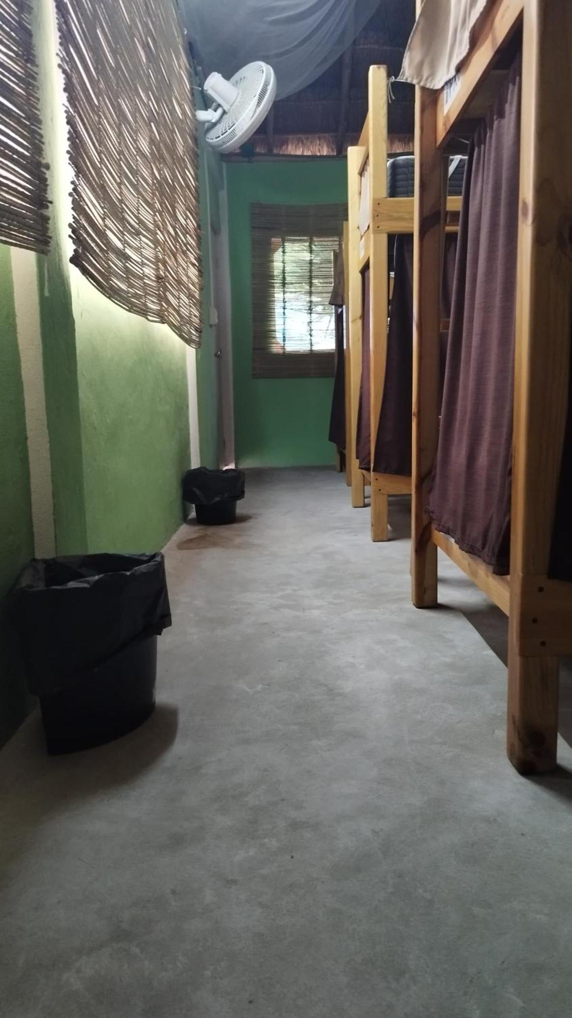 Blue Magic Hostel Cozumel Dış mekan fotoğraf