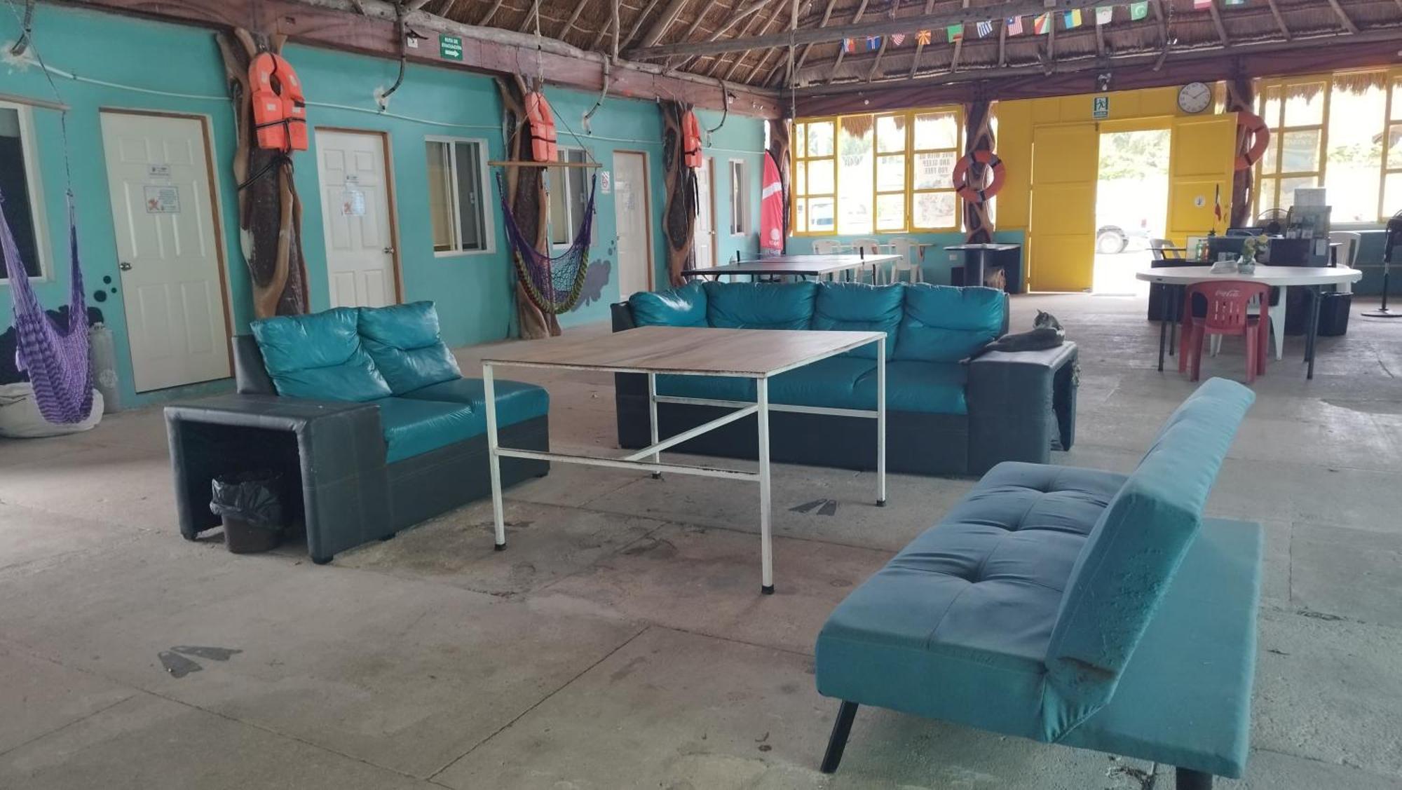 Blue Magic Hostel Cozumel Dış mekan fotoğraf